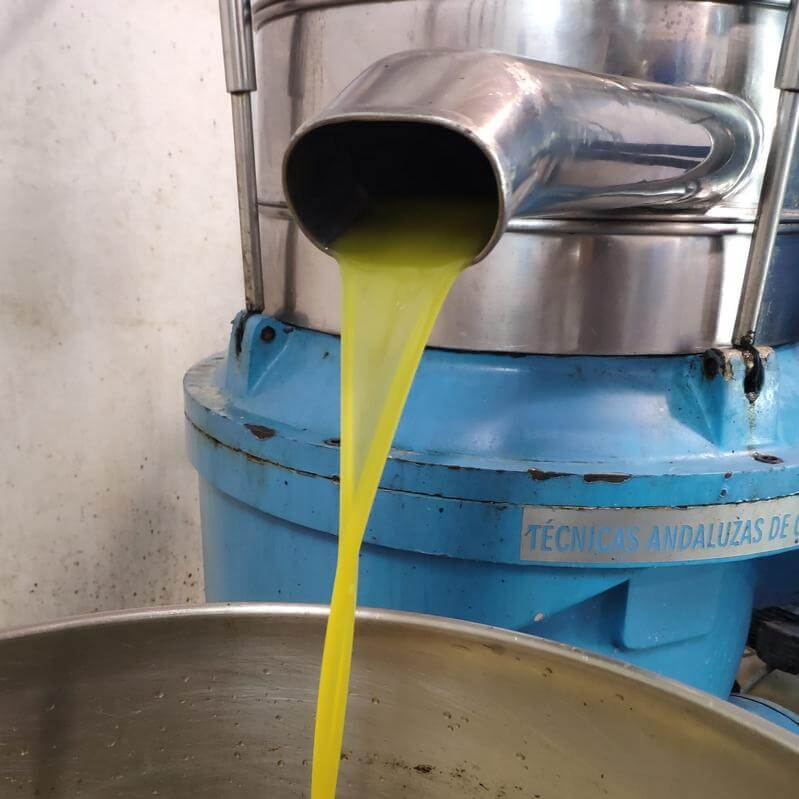 freshly produced olive oil